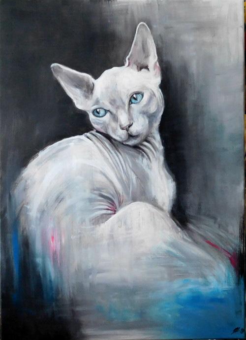 Sphynx — foto 4