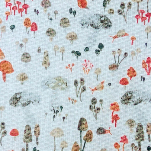 ...zajíc mezi houbičkami... — foto 5