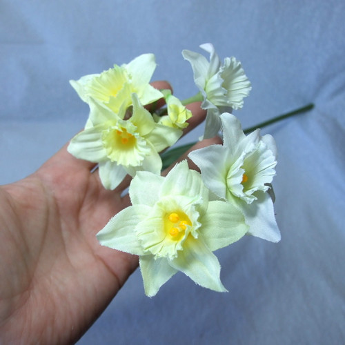 Narcis bledě žlutý 60 cm — foto 3