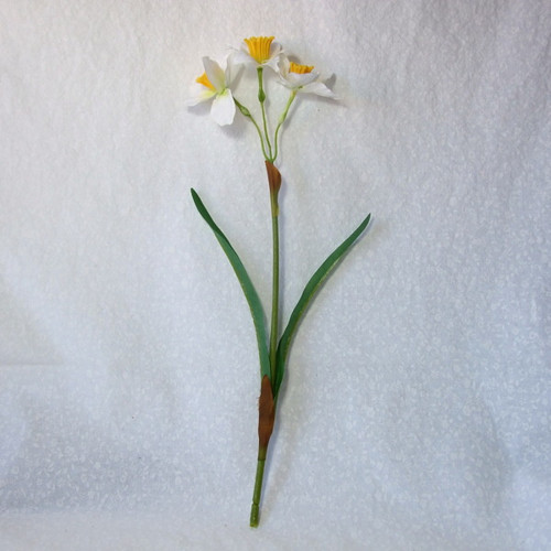 Narcis bílo-žlutý 35 cm — foto 2