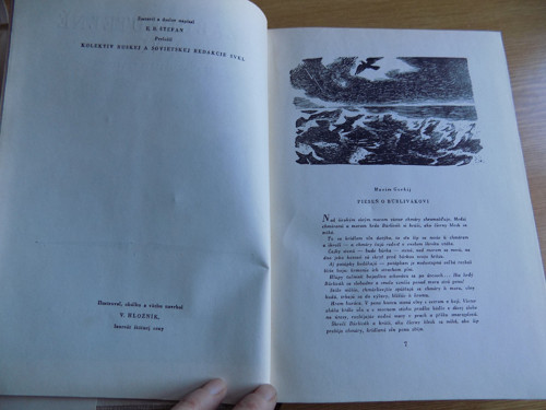 Nezabudnuteĺné dni - kniha — foto 2