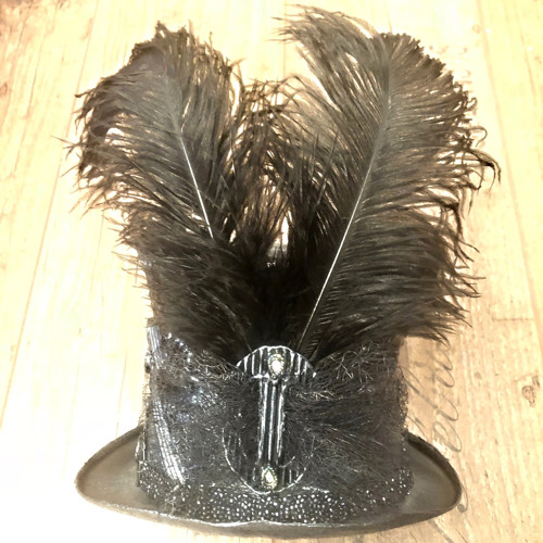 Silver Lady — foto 2