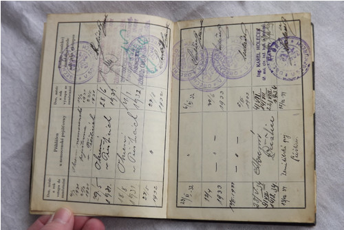 Legitimace — foto 4