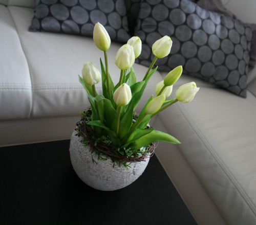 Betonový obal s tulipány — foto 2