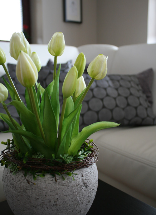 Betonový obal s tulipány — foto 3