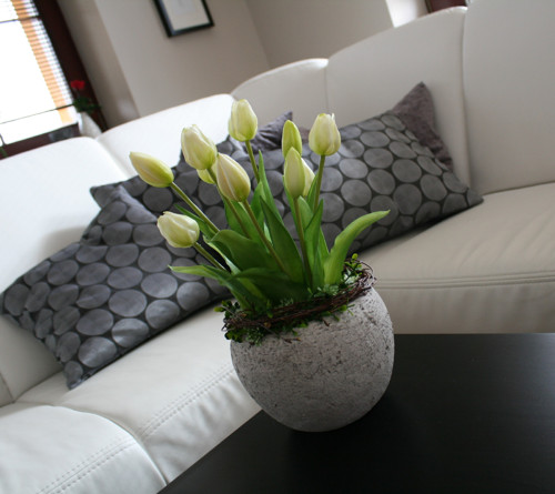 Betonový obal s tulipány — foto 5