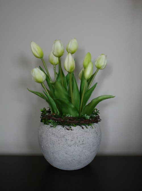 Betonový obal s tulipány — foto 6