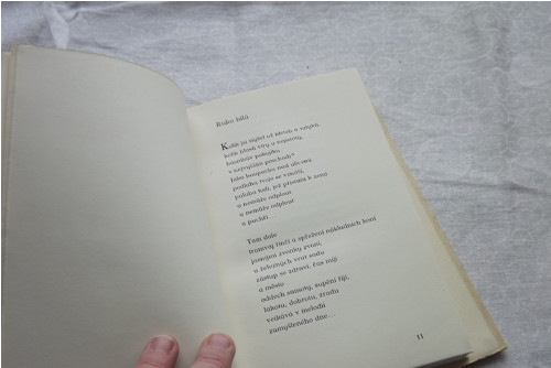 Kořist smyslů - Josef Hora — foto 2