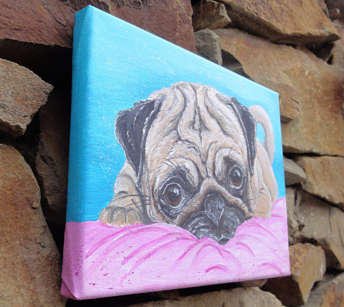 Čumíš jako Pug — foto 3