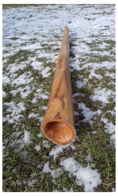 Didgeridoo - bukuluku 2019 — foto 3
