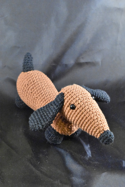 Jezevčík - mini — foto 2