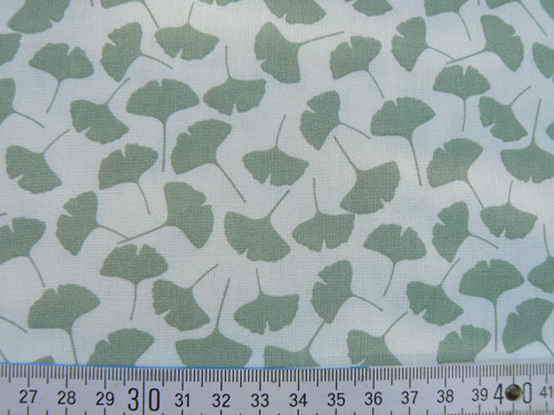 Club -gingko šedozelené — foto 2