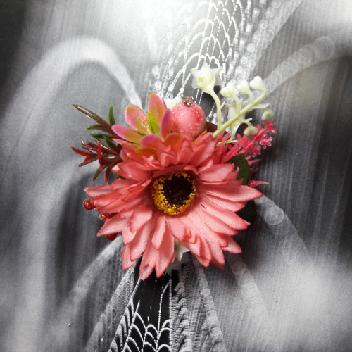 Růžová gerbera - pineta — foto 3