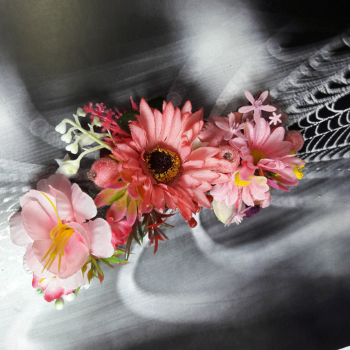 Růžová gerbera - pineta — foto 5