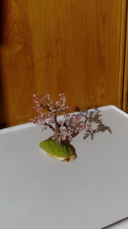 Jarní — foto 4