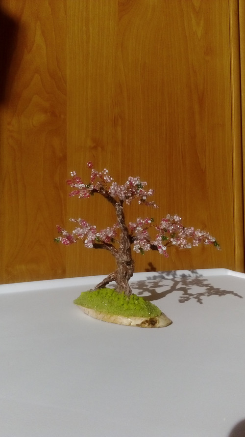Jarní — foto 5