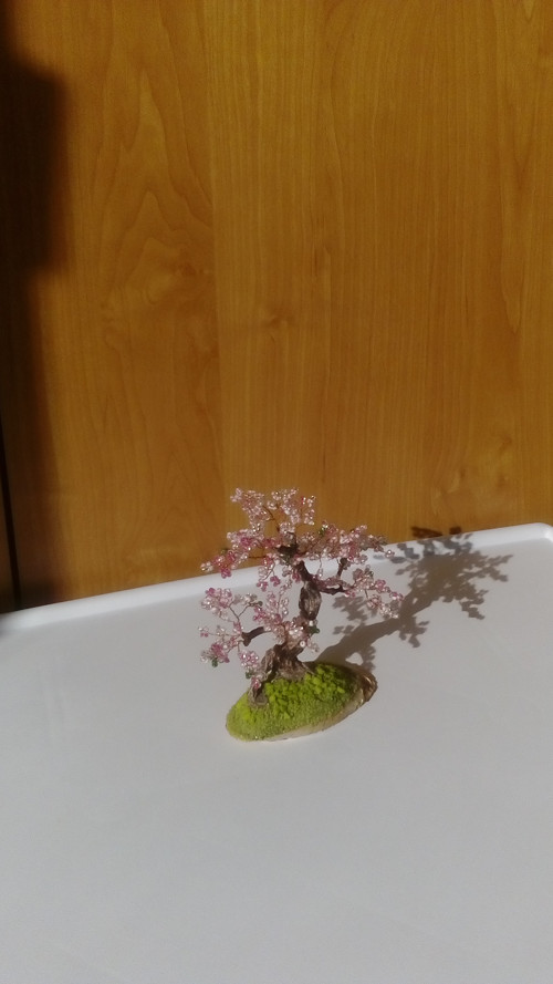 Jarní — foto 6