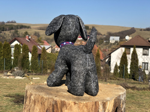 Pejsek Kája — foto 4