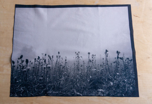 Louka — foto 3