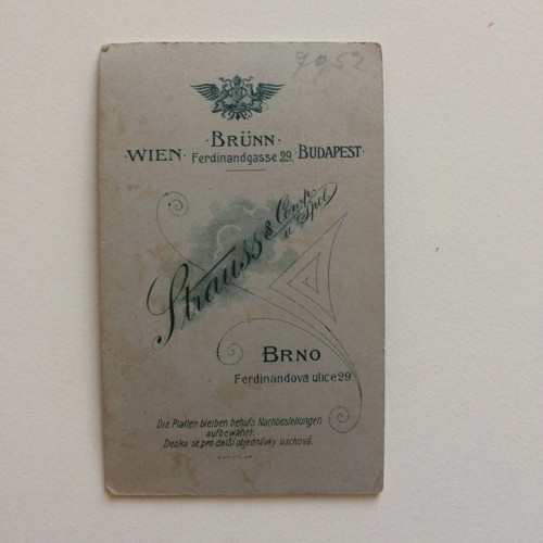 Vizitka - ateliér Strauss — foto 2