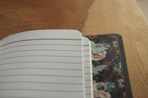 Měsíčník — foto 3