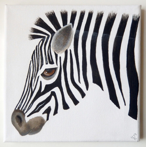 Zebra — foto 2