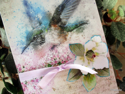Blue bird — foto 2