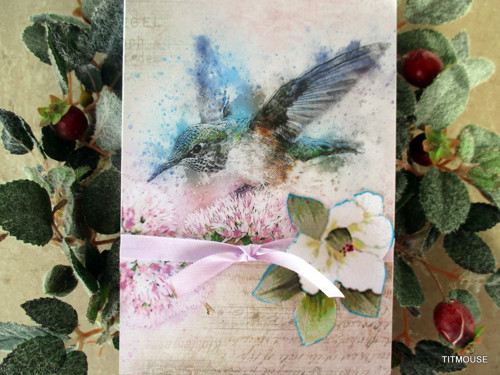 Blue bird — foto 3