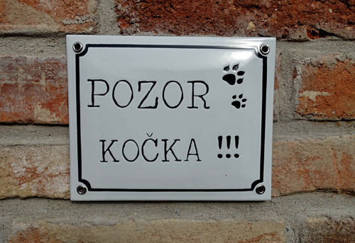 POZOR KOČKA !!! — foto 2
