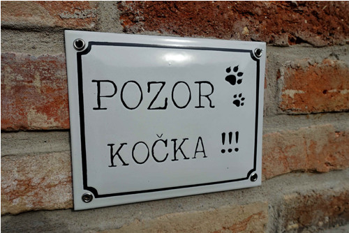 POZOR KOČKA !!! — foto 3