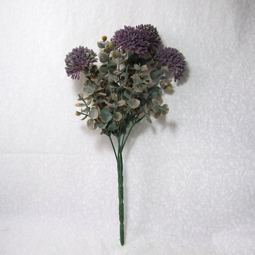 Eucalyptus a Allium - trs — foto 2