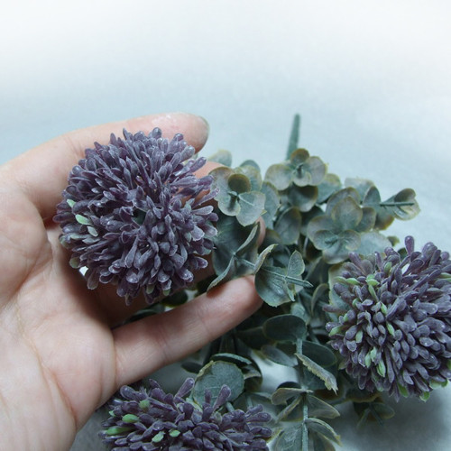Eucalyptus a Allium - trs — foto 3