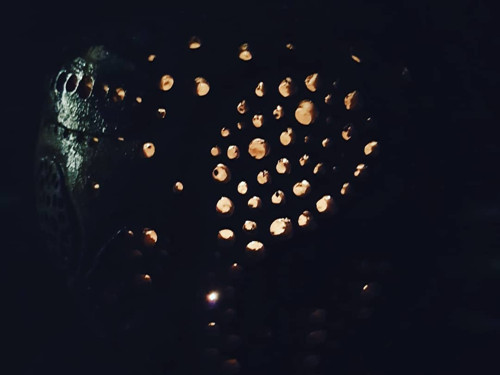 Stínidlo - Stromové — foto 6