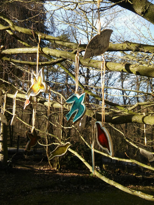 Ptáček — foto 4