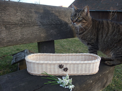 Oválná ošatka přírodní — foto 3