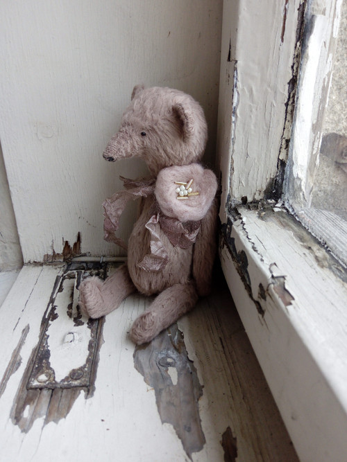 Medvídek Pinky — foto 2