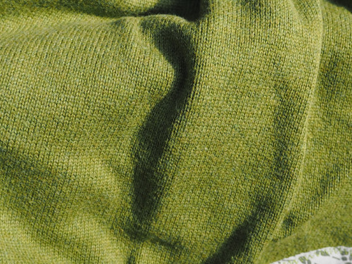 V lese — foto 4