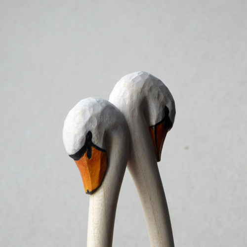 Labutí I. — foto 4