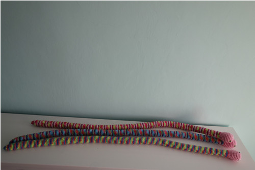 Žížala — foto 3