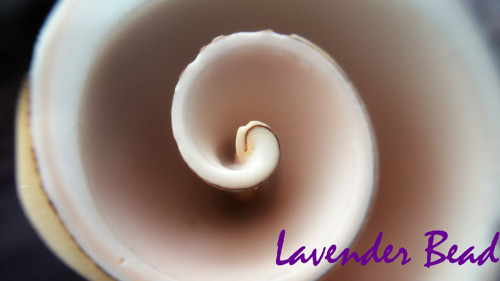 Náhrdelník Mušlička 1 — foto 5