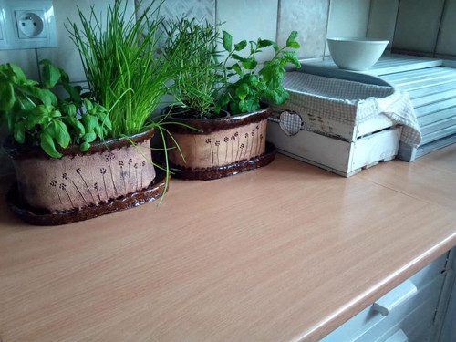 Truhlíčky bez uší — foto 3