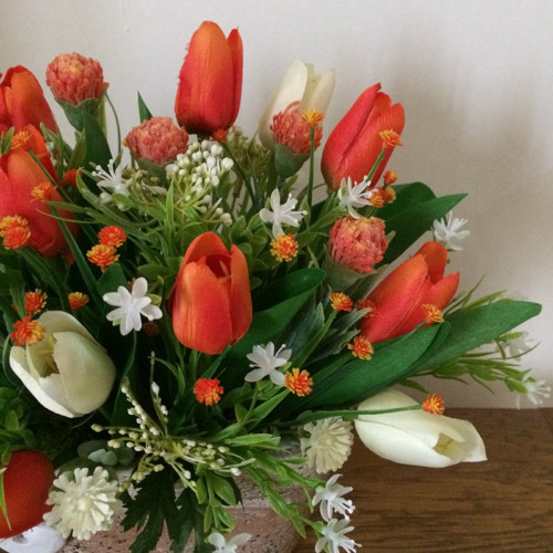 Jarní tulipánová — foto 5