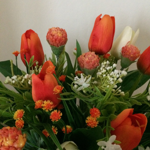 Jarní tulipánová — foto 6