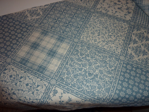 Běhoun Modrý patchwork — foto 3