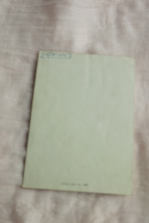 Maturitní věneček — foto 3