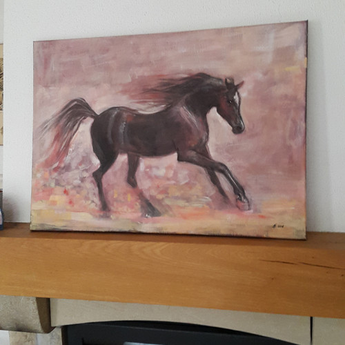 Divoká — foto 4
