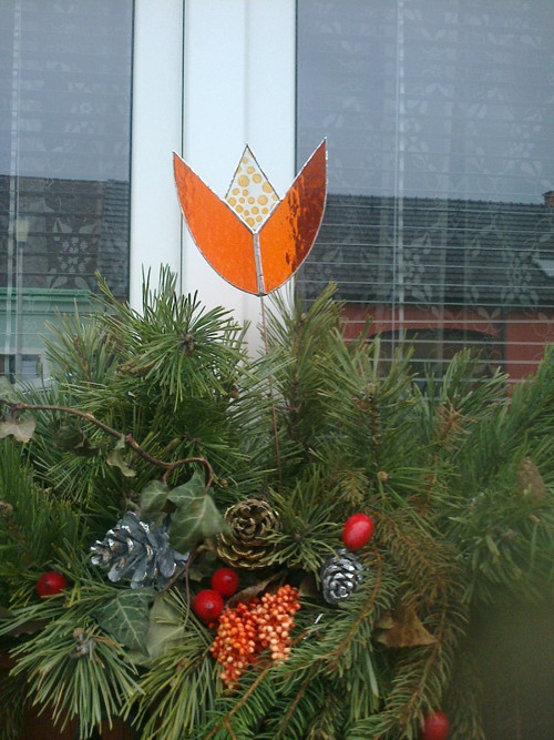 Tulipán - velký — foto 2