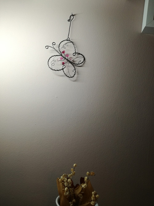 ...Motýlek.... — foto 2