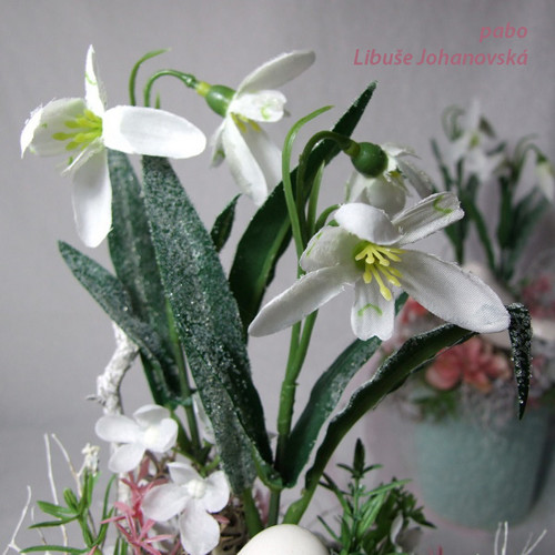 Jaro mátové (218) — foto 3