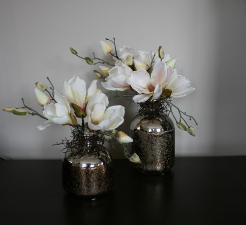 Sada váz s magnoliemi — foto 2